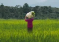 India Business Weekly: Agri Investment, UK Trade Deal & Market Outlook