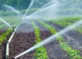 india-water-security-management-monsoon-irrigation