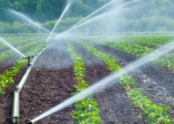 india-water-security-management-monsoon-irrigation