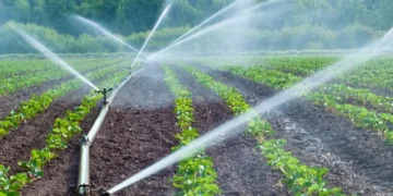 india-water-security-management-monsoon-irrigation