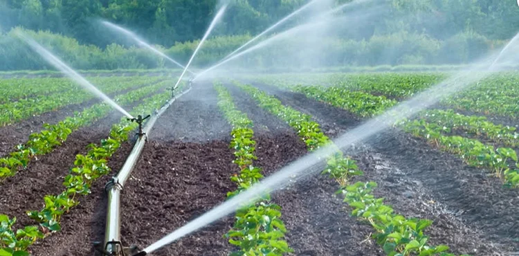 india-water-security-management-monsoon-irrigation