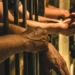 Crime and Nourishment: Tihar vs UK Jail Priorities