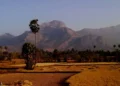 mansoon