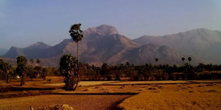 mansoon