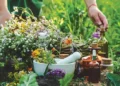 DU, Ayush Ministry Join Hands for Medicinal Plant Research