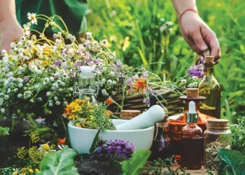 DU, Ayush Ministry Join Hands for Medicinal Plant Research