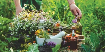DU, Ayush Ministry Join Hands for Medicinal Plant Research