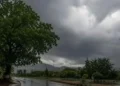 monsoon