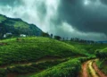 monsoon
