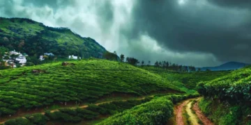 monsoon