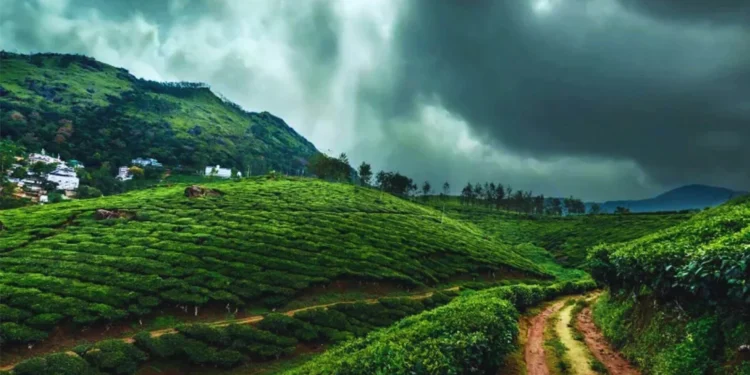 monsoon