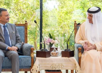 Ras Al Khaimah, India Discuss Stronger Bilateral Ties