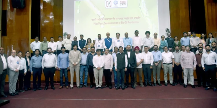 CSIR Bio-Binder Technology: Turning Rice Straw into a Bitumen Alternative