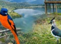 Arunachal’s Glaw Lake Becomes India’s 101st Ramsar Site