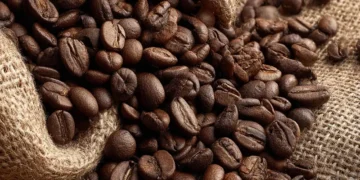 Roasted coffee beans in bulk