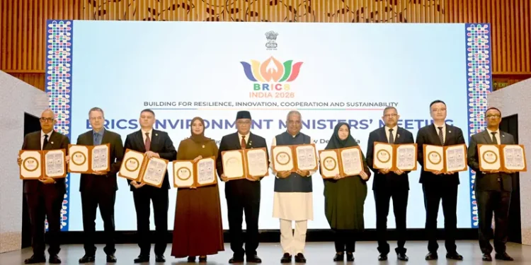 BRICS Environment