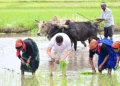 farmer