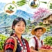 Promoting organic farming and value-chain integration