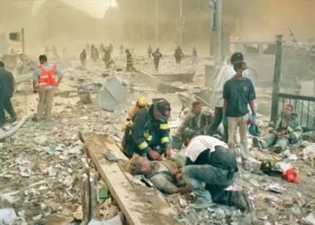 9/11 Victim Identification DNA Technology