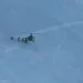 Indian Army high-altitude casualty evacuation