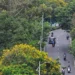 Green India Mission CAG Audit