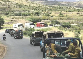Houthi Red Sea Crisis Africa