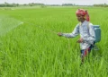 Per Drop More Crop scheme 2026