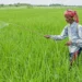 Per Drop More Crop scheme 2026
