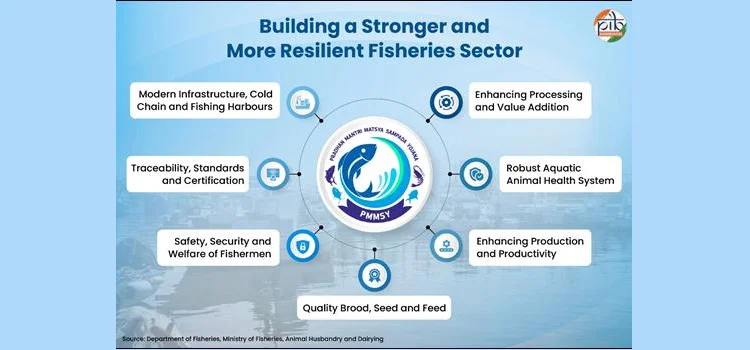 six years of Blue Revolution