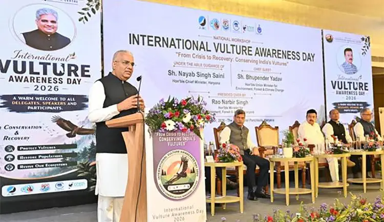 vulture-awareness