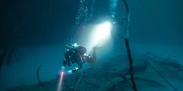 SDG 14 Life Below Water