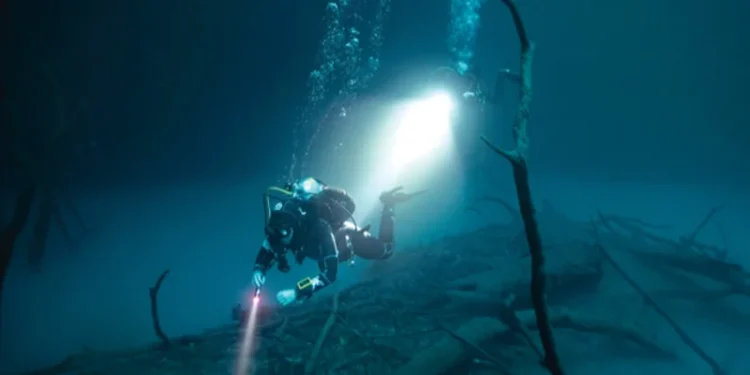 SDG 14 Life Below Water