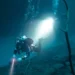SDG 14 Life Below Water