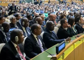 AFRICA SEEKS permanent seat