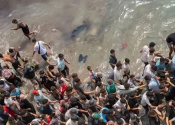 Ceuta Migration Crisis