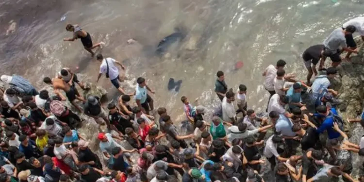 Ceuta Migration Crisis