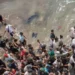 Ceuta Migration Crisis
