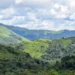 Kasturirangan Report