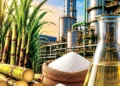 Ethanol Policy