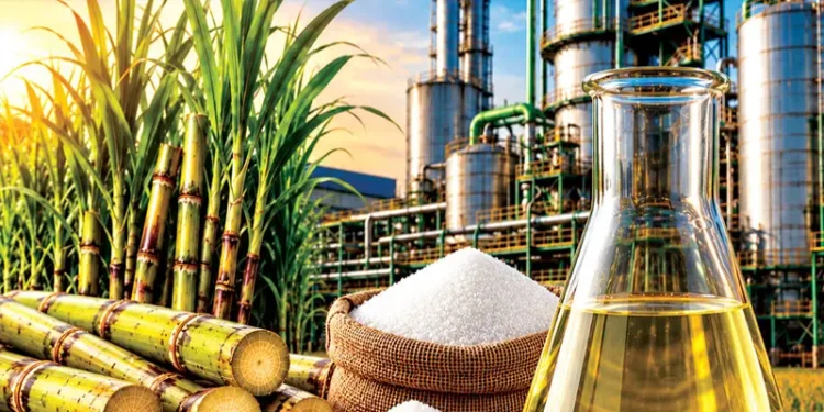 Ethanol Policy