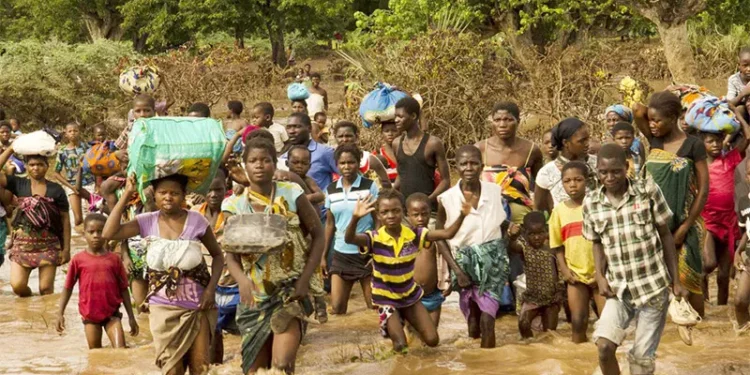Africa disaster resilience