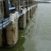 Water Shortage